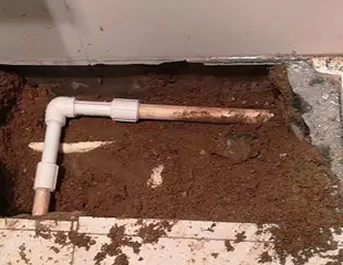 南木林测漏水哪家好