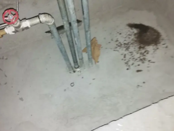 南木林卫生间测漏水价格明细