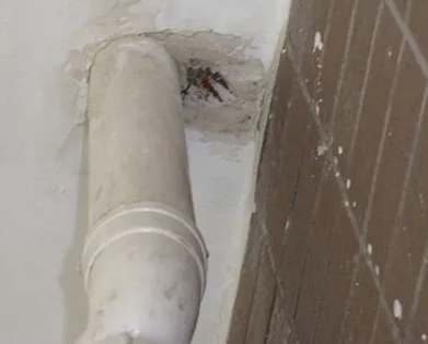 南木林漏水检测哪家好